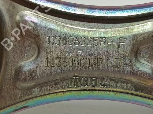 Engine mount NISSAN JUKE (F16_) 1.0 | BP29873620M89