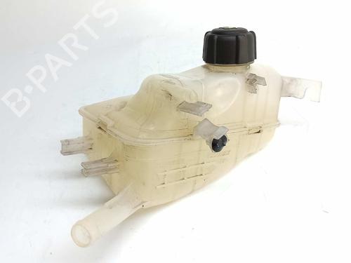 Expansion tank RENAULT MEGANE III Coupe (DZ0/1_) 1.6 16V (DZ0U, DZ1B, DZ1H) | BP7856495C120