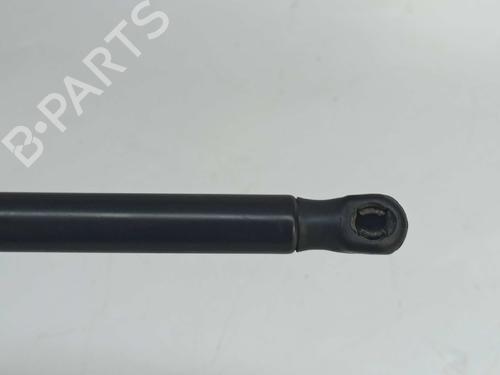 Tailgate lift support SMART FORFOUR (454) 1.1 (454.033) | BP14541074C138