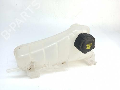 Expansion tank RENAULT KANGOO / GRAND KANGOO II (KW0/1_) Z.E. 8200455786 | 7701478318