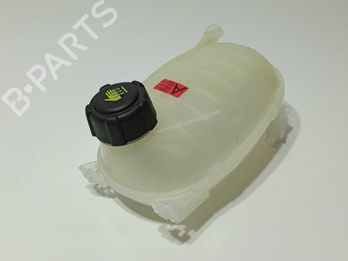 Used Expansion tank RENAULT CAPTUR II (HF_) [2020-2025]  23965245