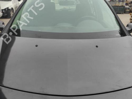 Used Hood RENAULT CLIO III (BR0/1, CR0/1) 1.2 16V (BR02, BR0J, BR11, CR02, CR0J, CR11) (75 hp) 16867113