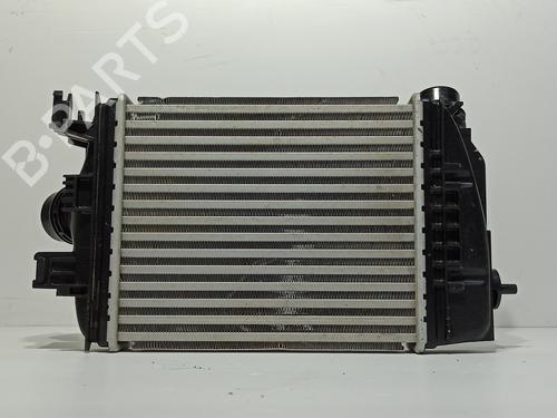 Intercooler NISSAN JUKE (F16_) 1.0 | BP29873546M30