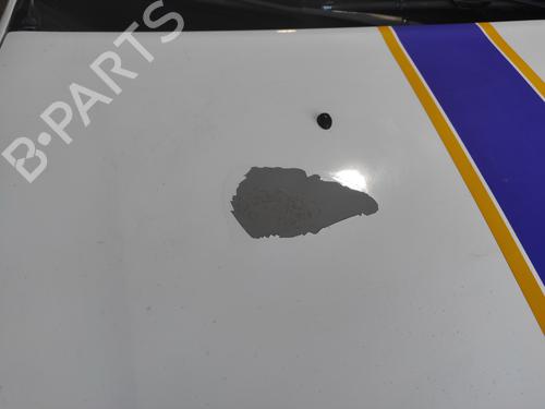 Hood DACIA LOGAN MCV II 1.5 dCi | BP11537798C1