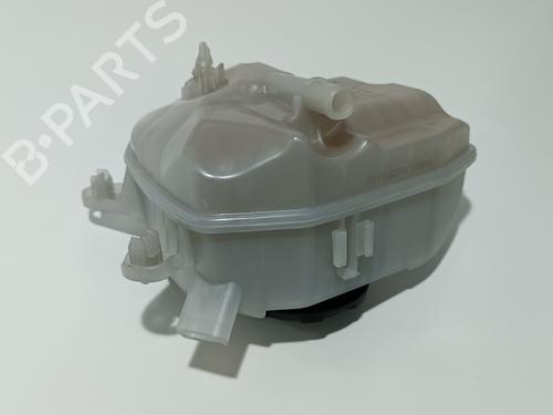 Expansion tank VW GOLF VIII (CD1, DA1) 2.0 TDI | BP11804912C120