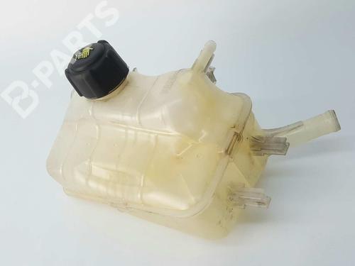 Expansion tank RENAULT MEGANE III Hatchback (BZ0/1_, B3_) 2.0 dCi (BZ0Y) | BP5879230C120 