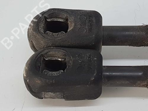 Tailgate lift support RENAULT SCÉNIC II (JM0/1_) 1.6 16V (JM1R) | BP14537534C138