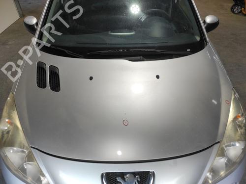 hood-peugeot-206-2l_-2m_-2009-2010-2011-2012-2013-34634111 main image