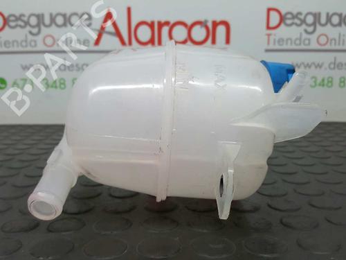 Expansion tank PEUGEOT BIPPER (AA_) 1.3 HDi 75 | BP11380784C120