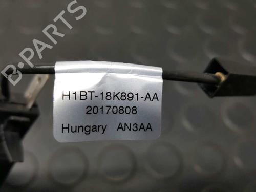 Electronic module FORD FIESTA VII (HJ, HF) 1.0 EcoBoost | BP14531894M83