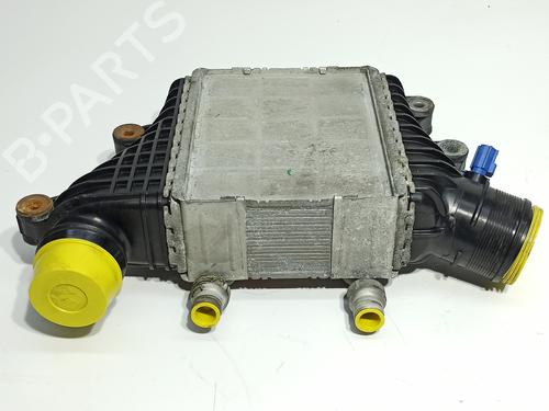 Intercooler LAND ROVER DISCOVERY SPORT (L550) 2.0 D 4x4 | BP24883600M30