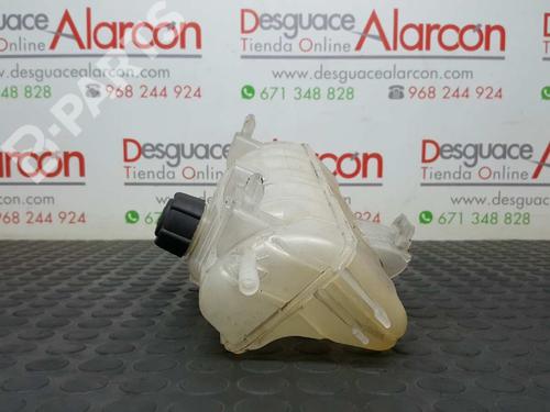 Expansion tank RENAULT KANGOO Express (FW0/1_)  | BP2782884C120 