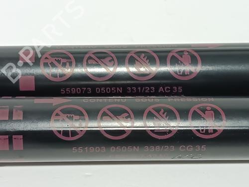 Tailgate lift support TOYOTA C-HR (_X2_, _H2_) Hybrid (ZYX20) | BP19126994C138