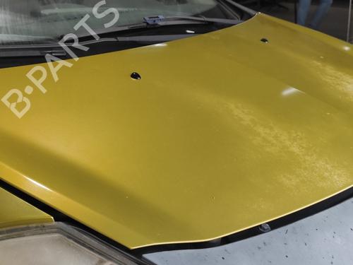 Hood RENAULT CLIO III (BR0/1, CR0/1) 1.5 dCi (BR17, CR17) | BP21085964C1 
