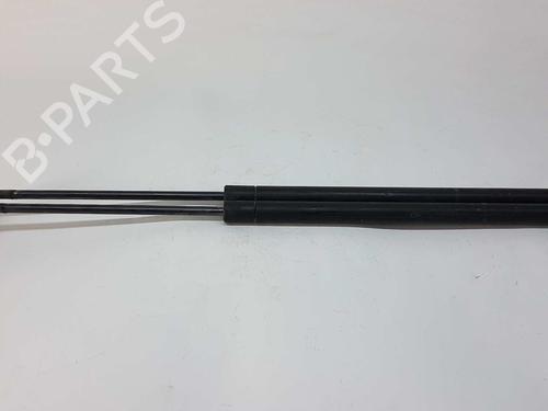Used Tailgate lift support RENAULT SCÉNIC II (JM0/1_) 1.6 16V (JM1R) (112 hp) 14537534