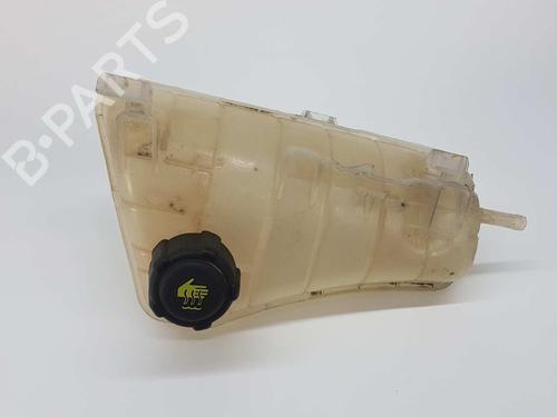 Used Expansion tank RENAULT KANGOO / GRAND KANGOO II (KW0/1_) 1.5 dCi 70 (KW0V, KW0A) (68 hp) 11385814