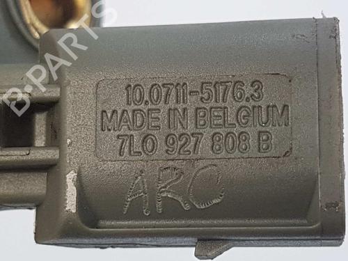 Elektronensonde PORSCHE CAYENNE (9PA) 3.6 | BP14539915M84