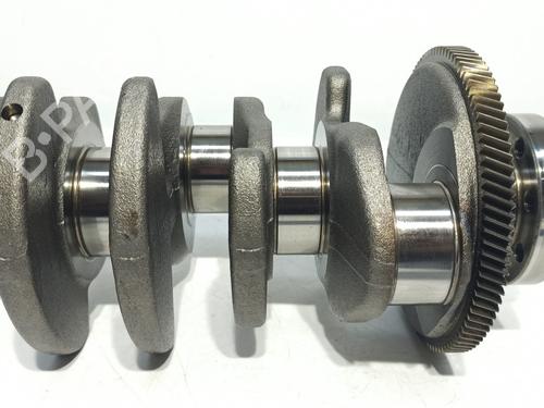 Andre AUDI Q5 (8RB) 2.0 TDI | BP14543904O1