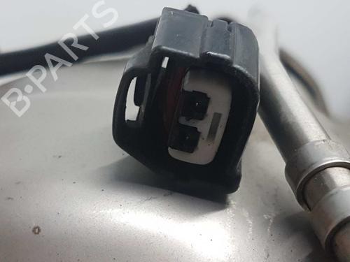 Particulate filter RENAULT KOLEOS I (HY_) 2.0 dCi (HY0K) | BP7897838M81 