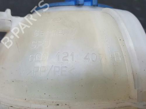 Expansion tank SEAT IBIZA IV SC (6J1, 6P5) 1.4 TDI | BP2737596C120