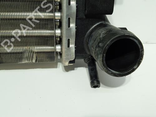 Water radiator SEAT IBIZA IV (6J5, 6P1)  | BP29171107M31 