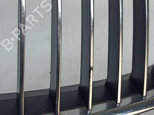 Grille BMW 3 (E90) 320 d | BP8620409C40 