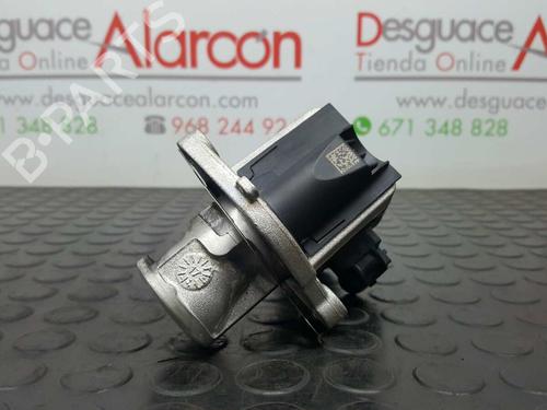 Egr PEUGEOT BIPPER (AA_) 1.3 HDi 75 | BP11380793M69