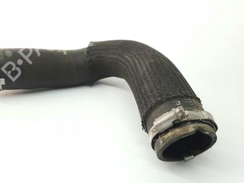 Rør CITROËN C3 II (SC_) 1.4 HDi 70 (SC8HZC, SC8HR0, SC8HP4) | BP14535557M125