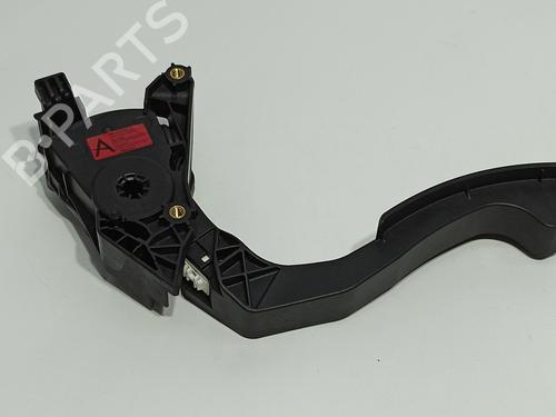 Pedal DACIA SANDERO II 1.5 Blue dCi 95 (B8JL) | BP14448869I4
