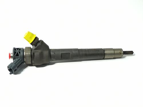 Injector LAND ROVER RANGE ROVER EVOQUE (L538) 2.0 D | BP23099731M100