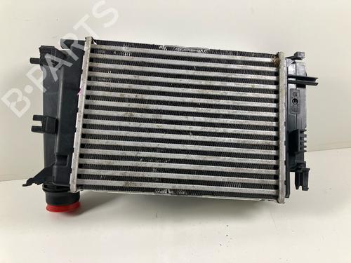 Intercooler NISSAN QASHQAI III (J12) 1.3 DIG-T | BP22211389M30 