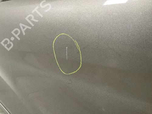 Left front door FORD TRANSIT V363 Platform/Chassis (FED, FFD) 2.0 EcoBlue | BP19636705C2 