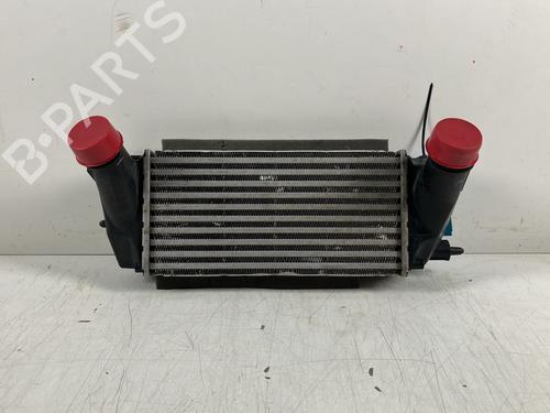 Used Intercooler Intercooler FORD ECOSPORT 1.0 EcoBoost (125 hp) 40219203 40219203