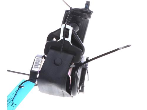 Used Front right seatbelt Front right seatbelt FORD TRANSIT V363 Platform/Chassis (FED, FFD) 2.0 EcoBlue (170 hp) 39958290 39958290