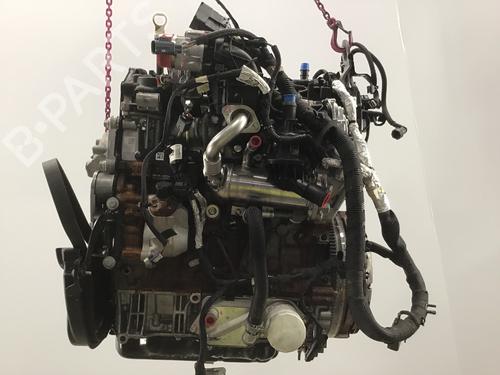 Engine FORD TRANSIT V363 Platform/Chassis (FED, FFD) 2.0 EcoBlue | BP19572951M1
