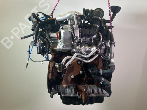 Engine FORD TRANSIT V363 Platform/Chassis (FED, FFD) 2.0 EcoBlue | BP36224405M1  - Image 8