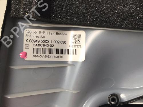 Interior roof BMW X6 (G06, F96) xDrive 40 d Mild-Hybrid | BP30290570I12 