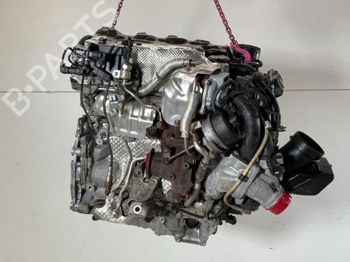 Engine BMW X4 (G02, F98) xDrive 20 d Mild-Hybrid | BP37080938M1 - Image 2
