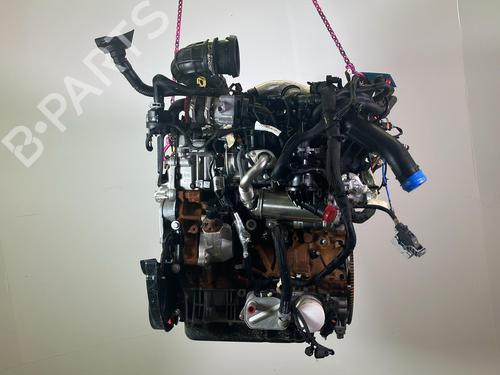 Engine FORD TRANSIT V363 Platform/Chassis (FED, FFD) 2.0 EcoBlue | BP36224405M1  - Image 10
