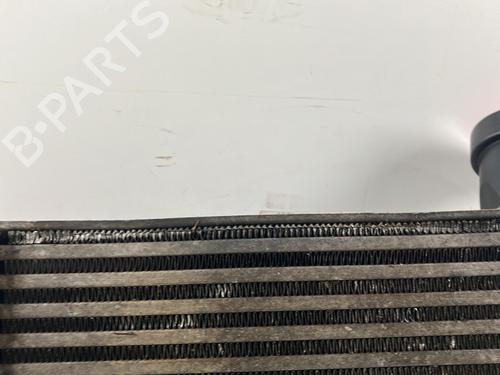 Water radiator VW TOUAREG (7LA, 7L6, 7L7) 3.0 V6 TDI | BP32428002M31