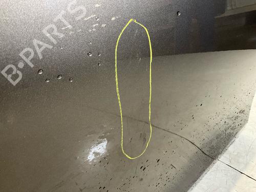 Right rear door FIAT BRAVO II (198_) 1.6 D Multijet (198AXL1B) | BP18106737C5 