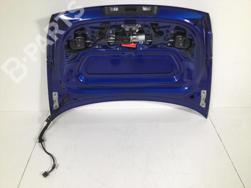 Tailgate AUDI TT Roadster (FV9, FVR) 2.0 TTS quattro | BP2720830C6 