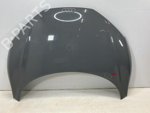 Capot Capot AUDI R8 Spyder (4S9, 4SR) 5.2 FSI quattro (540 hp) 34211916 34211916