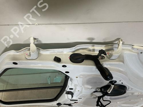 Left front door FORD TRANSIT V363 Platform/Chassis (FED, FFD) 2.0 EcoBlue | BP18910211C2 
