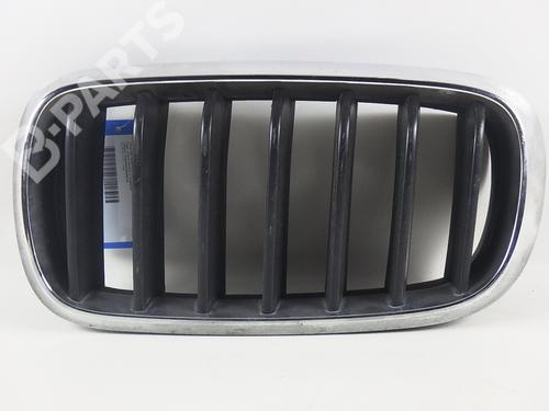 Grille BMW X5 (F15, F85) xDrive 30 d (258 hp)null