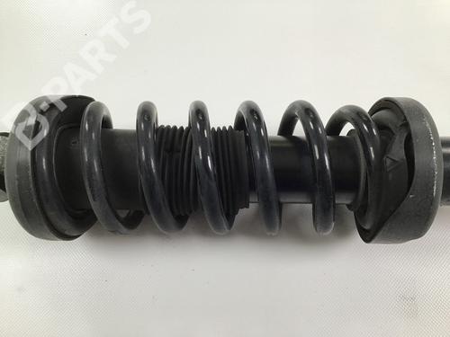 Right rear shock absorber AUDI R8 (4S3, 4SP) 5.2 FSI quattro | BP4497968M19 