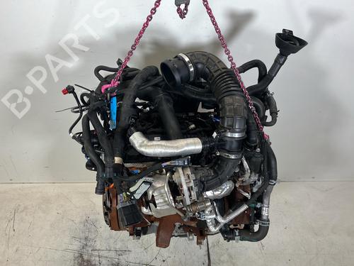Engine FORD TRANSIT V363 Platform/Chassis (FED, FFD) 2.0 EcoBlue | BP40040452M1  - Image 7