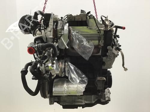 Motor für VW GOLF VIII (CD1, DA1) 2.0 TDI (150 hp) 28019930