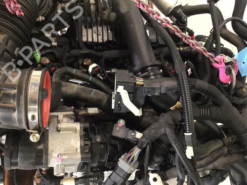 Engine FORD TRANSIT V363 Platform/Chassis (FED, FFD) 2.0 EcoBlue | BP32188354M1 