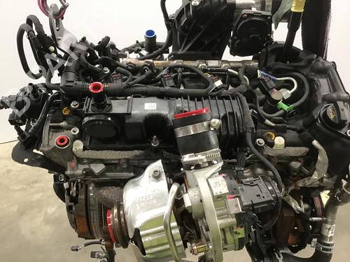 Engine FORD TRANSIT V363 Platform/Chassis (FED, FFD) 2.0 EcoBlue | BP19572951M1 